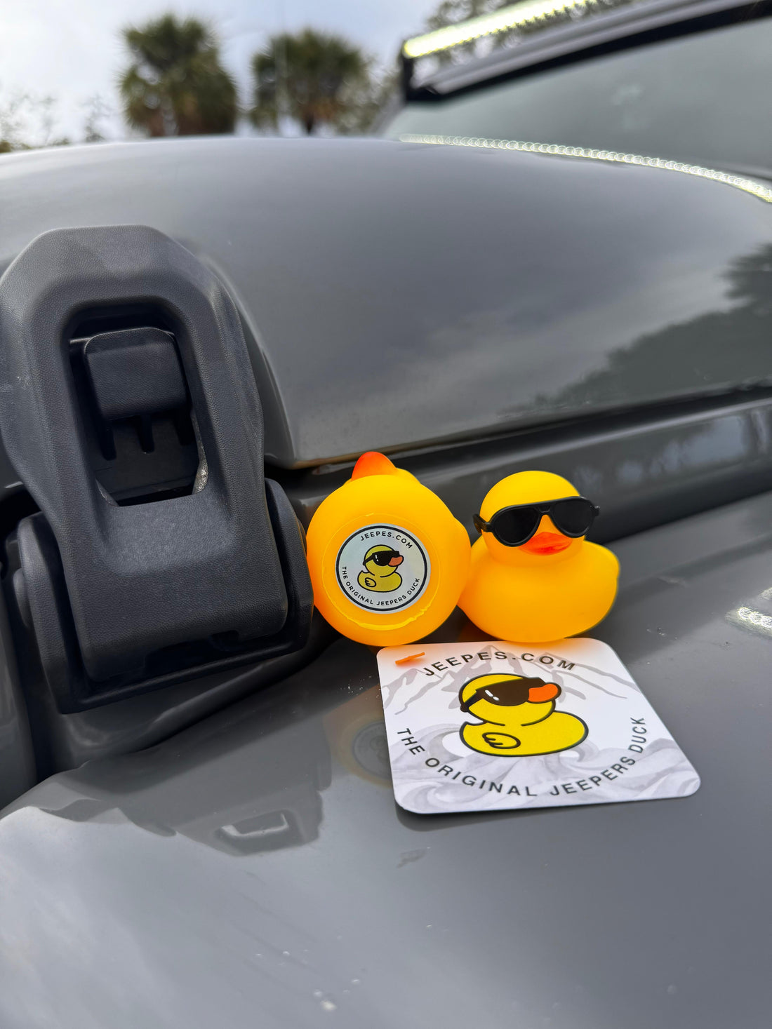 Discover the Adventure with Jeepes - The Original Jeepers Duck